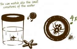 Navir Explora pahar mare pentru observarea insectelor