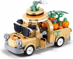 Sluban Dream de Fetiță Fructe Calești