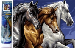 Pictură cu diamante Trio sălbatic 30 × 40 cm