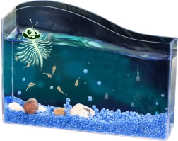 Kosmos animal acvatic – set de pornire pentru creșterea Artemia (creveți de saramură)