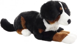 Câine bernese de pluș 65 cm