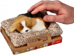 Beagle care latră pe culcuș