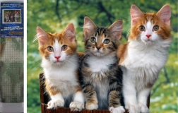 Pictură cu diamante Pisici 30x40 cm