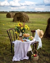 Pictură cu diamante Mic dejun pe câmp 30 × 40 cm