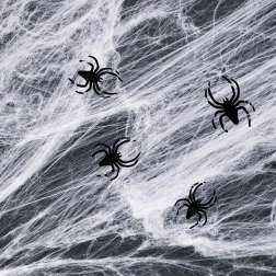 Pânză de păianjen albă de Halloween cu păianjeni
