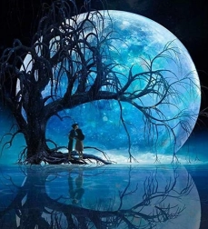 Pictură cu Diamante Lună deasupra lacului 30x40cm