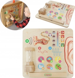 Tablă Educațională Masterkidz Educație Simțuri Vizuale Montessori