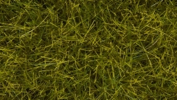 Noch iarbă statică câmp sălbatic 12 mm