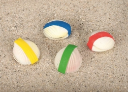 Scoică Magică Goki