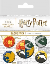 Set de insigne Harry Potter – case