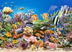 Puzzle 260 piese Culorile Oceanului