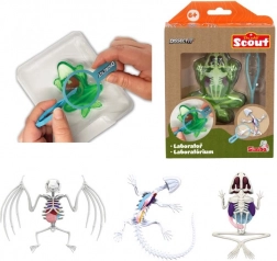 Mini laborator de disecție – broască, salamandră sau liliac