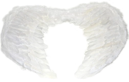 Aripi mari de înger