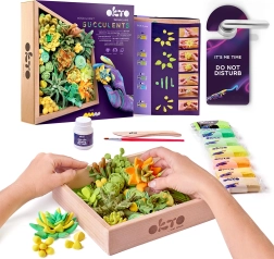 Set creativ de modelare artistică OKTO Energy cu plante suculente în ramă din lemn