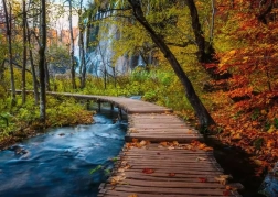 Puzzle RAVENSBURGER Pădure misterioasă 1000 piese