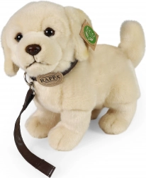 Câine de pluș Golden Retriever cu lesă 25 cm
