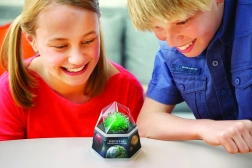 Cristale verzi 4M – set educațional pentru cultivarea cristalelor