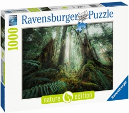 Puzzle 1000 piese Păduri Ravensburger