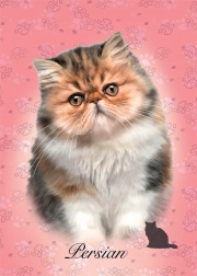 Puzzle Pisica persană 100 de piese