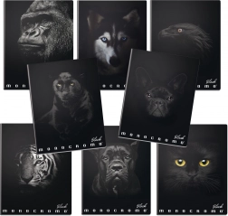 Caiet școlar A4 Monocromo negru