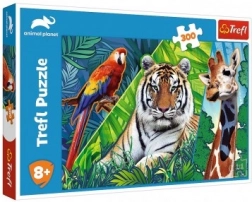 Puzzle Animale Uimitoare 300 piese 60 × 40 cm