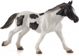 Mojo Tinker irlandez mânz de un an