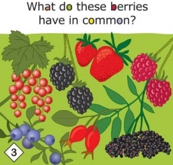 Yummy! joc educativ despre alimentația sănătoasă pentru copii de la 3 ani