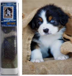 pictură cu diamante cățeluș de câine de munte bernez 30 × 40 cm