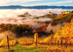 Enjoy puzzle În vie 1000 piese