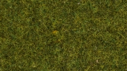 Iarbă statică Pajiște 4 mm