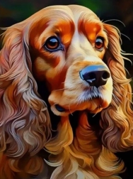 Pictură cu diamante cocker spaniel 30 × 40 cm