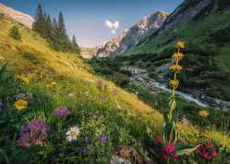 Puzzle Magice Faleză 1000 de piese