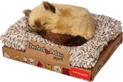 Perfect Petzzz pisicuță siameză mică