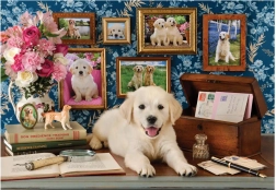 Puzzle Labrador 500 de piese