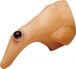 Nas de vrăjitoare cu neg