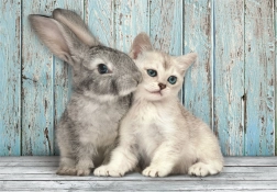 puzzle 500 piese compact pisică și iepure