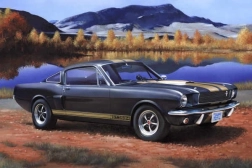 Model din plastic Shelby Mustang GT350H