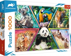Puzzle 1000 piese – regatul animalelor ANIMAL PLANET