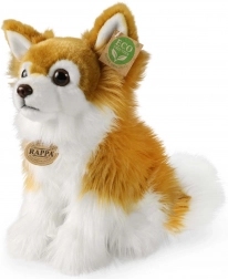 Rappa chihuahua de pluș așezată 28 cm eco-friendly