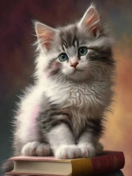 Mozaic cu diamante – pisoiaș pe cărți