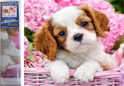 Pictură cu diamante cățeluș în coș roz 30 × 40 cm