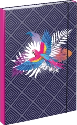 Coperți pentru caiete școlare A4 Papagal