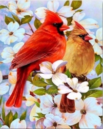 Pictură cu diamante păsări pe ramură 30 × 40 cm