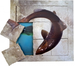 Just Jigsaws Somonul și ciclul său de viață - puzzle din lemn stratificat