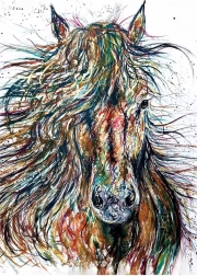 Puzzle ANATOLIAN Vânt 500 piese