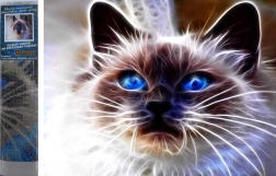 Pictură cu diamante Magia pisicilor 30 × 40 cm
