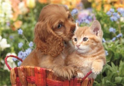 Puzzle maxi 104 piese Prieteni drăgălași CLEMENTONI