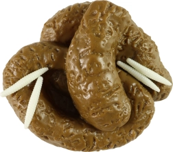 Căcărită falsă cu omizi – recuzită de farsă realistă