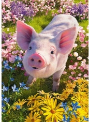 Puzzle Cherry Pazzi Mă iubești? 500 de piese