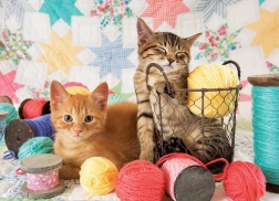 Puzzle Gheme Moi 1000 Piese